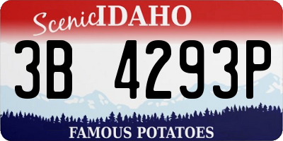 ID license plate 3B4293P