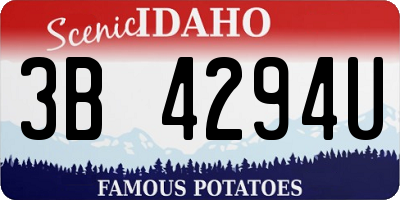 ID license plate 3B4294U