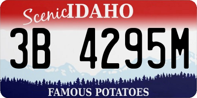 ID license plate 3B4295M