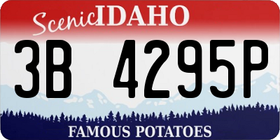 ID license plate 3B4295P