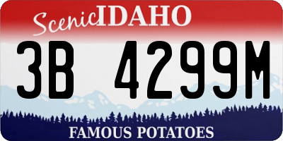 ID license plate 3B4299M