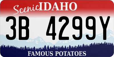 ID license plate 3B4299Y