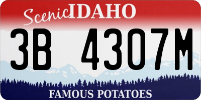 ID license plate 3B4307M