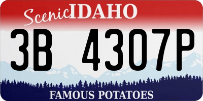 ID license plate 3B4307P