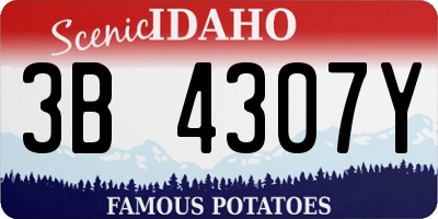 ID license plate 3B4307Y