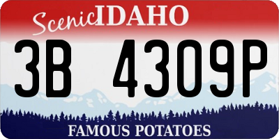 ID license plate 3B4309P