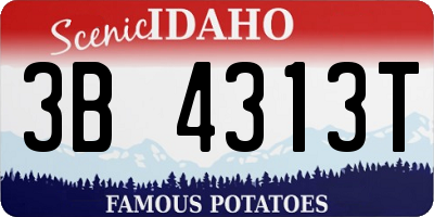 ID license plate 3B4313T