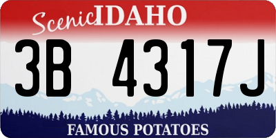 ID license plate 3B4317J