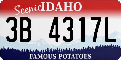 ID license plate 3B4317L