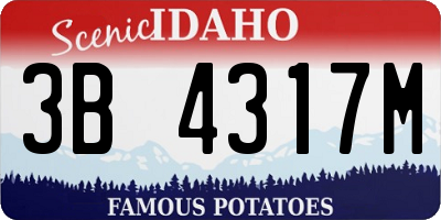 ID license plate 3B4317M