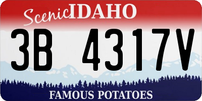 ID license plate 3B4317V