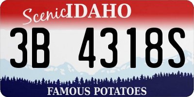 ID license plate 3B4318S