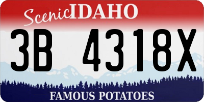 ID license plate 3B4318X