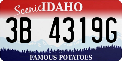ID license plate 3B4319G