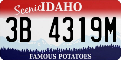 ID license plate 3B4319M