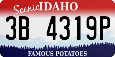 ID license plate 3B4319P