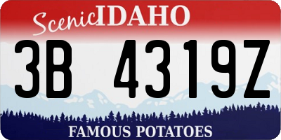 ID license plate 3B4319Z