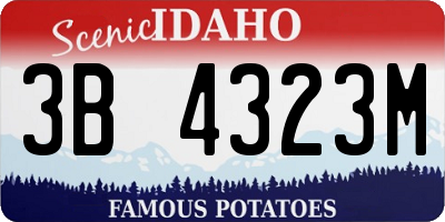 ID license plate 3B4323M