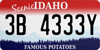 ID license plate 3B4333Y