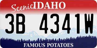 ID license plate 3B4341W