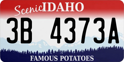 ID license plate 3B4373A