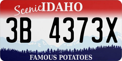 ID license plate 3B4373X