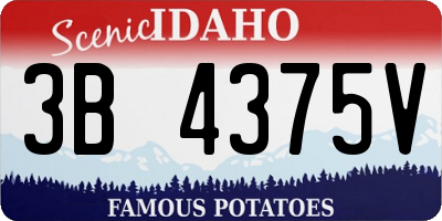 ID license plate 3B4375V