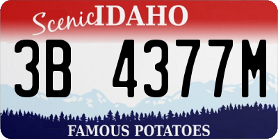 ID license plate 3B4377M