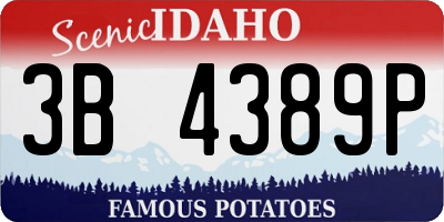 ID license plate 3B4389P