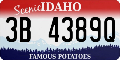 ID license plate 3B4389Q