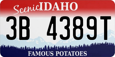 ID license plate 3B4389T