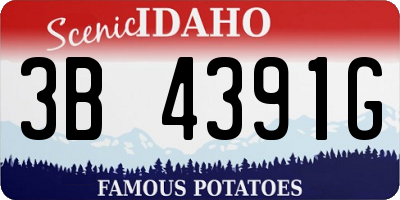 ID license plate 3B4391G