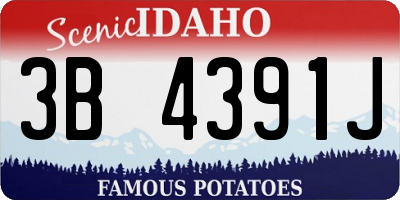 ID license plate 3B4391J