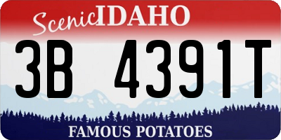 ID license plate 3B4391T