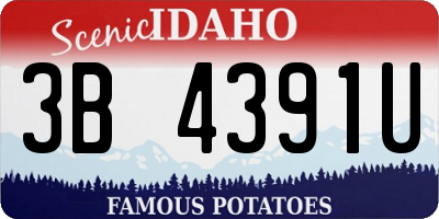 ID license plate 3B4391U