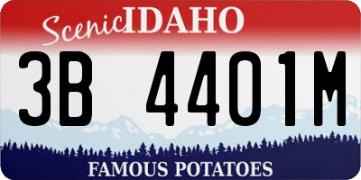 ID license plate 3B4401M