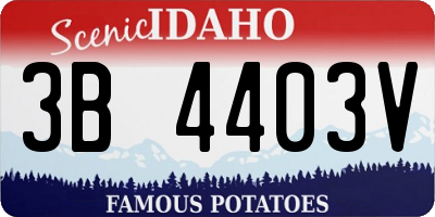 ID license plate 3B4403V