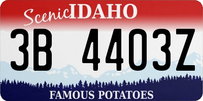ID license plate 3B4403Z
