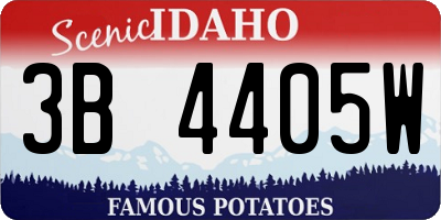 ID license plate 3B4405W