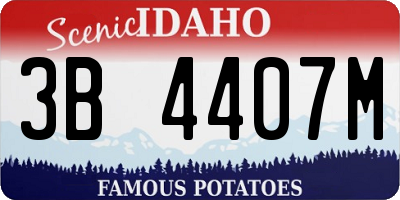 ID license plate 3B4407M