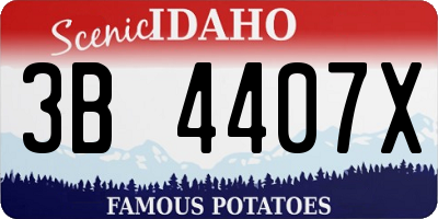ID license plate 3B4407X