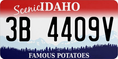 ID license plate 3B4409V