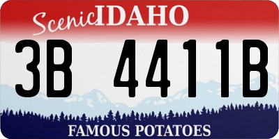 ID license plate 3B4411B