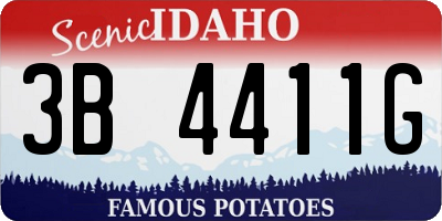ID license plate 3B4411G