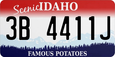 ID license plate 3B4411J