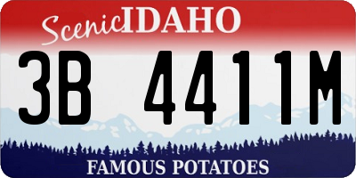 ID license plate 3B4411M