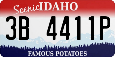 ID license plate 3B4411P