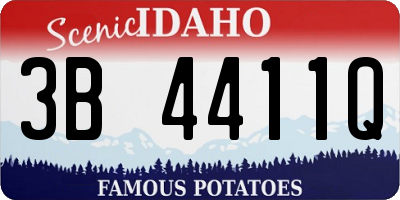 ID license plate 3B4411Q