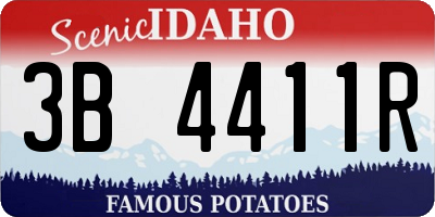 ID license plate 3B4411R