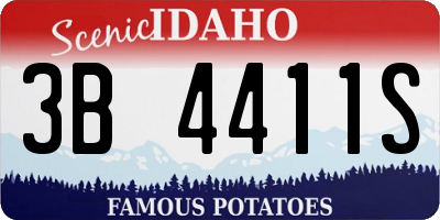 ID license plate 3B4411S